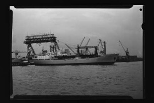Hercules (1965), Neptun.- Dampfschifffahrts-Gesellschaft „Neptun“, Neptun Linie, D.G. "Neptun", Bremen