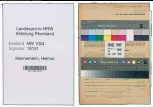 Entnazifizierung Helmut Hannemann , geb. 03.05.1914 (Buchhalter)