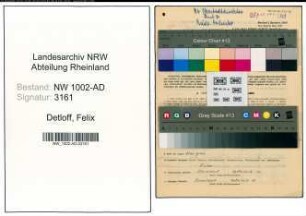 Entnazifizierung Felix Detloff, geb. 01.05.1898 (Musiker)