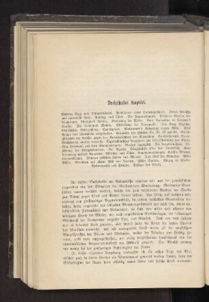 Dreizehntes Kapitel.