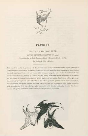 Plate 33. Peacock and pine tree