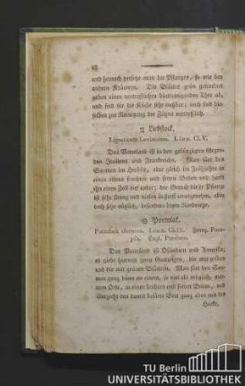 Liebstock. Lingusticum levisticum. Linn. Cl. V.