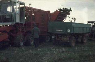 Fotografie: Zuckerrübenköpfrodebunker selbstfahrend, Zweiachsanhänger, Transport