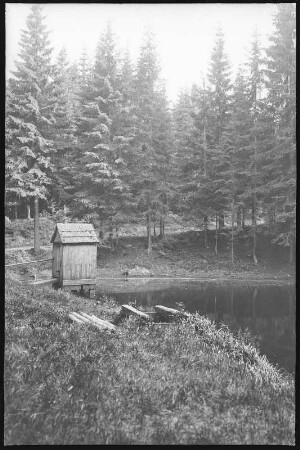 Altenberg. Am schwarzen Teich