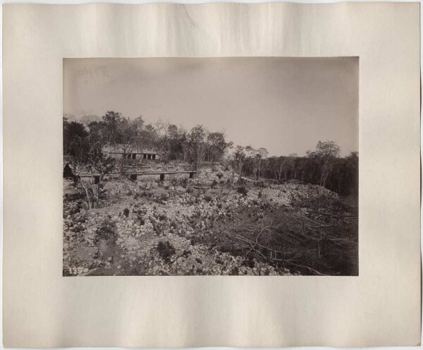 "Palace. Ostend. Panorama from a tree."