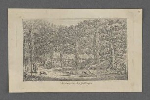 Mariaspring bey Göttingen
