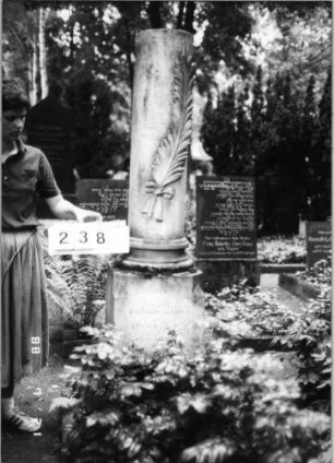 Grabstein 238