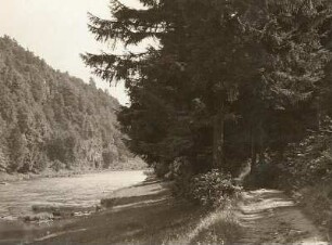 Zschopautal : Zschopautal unterhalb der Lauenhainer Mühle. Talauf gesehen vom linken Uferweg