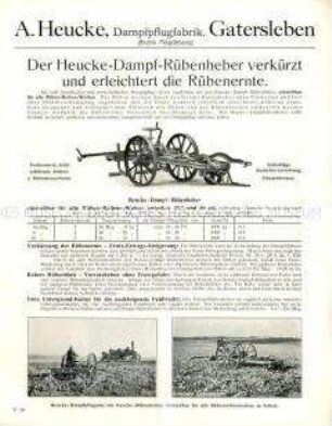 Dampf-Rübenheber