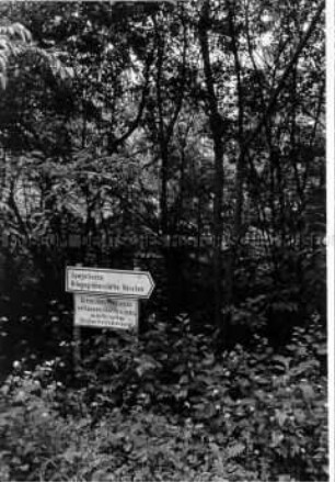 Hinweisschilder am Verbindungsweg zwischen der Gedenkstätte Bergen-Belsen und dem Friedhof sowjetischer Kriegsgefangener