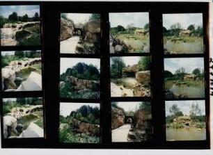 Zoo - Gorilla-Berg, Hannover, 1996