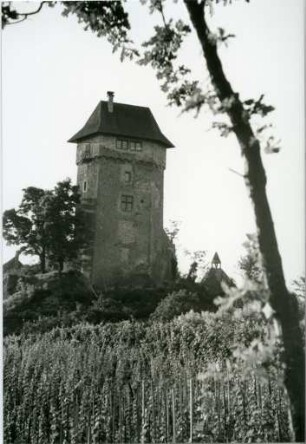 Die Burg Sponeck