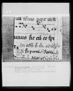 Fragment aus einem Antiphonar, Text mit Quadratnoten