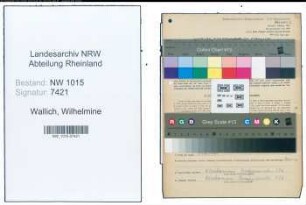 Entnazifizierung Wilhelmine Wallich , geb. 08.05.1883 (Einzelhaendlerin)