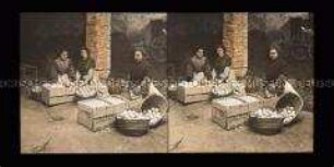 Frauen beim Verpacken der Orangen in Versandkisten, Valencia