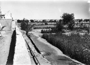 Gartenlandschaft : Bewässerte Gärten an der Oase Ghadames