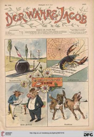 Nr. 284 (8. Juni 1897)