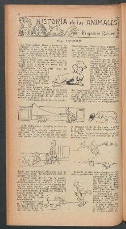 El perro : Historia de los animales