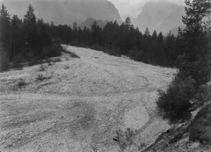 Schuttkegel im Wald : Blick auf den Schuttkegel im bewaldeten Falzthurntal