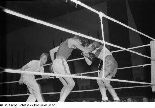 Boxkampf