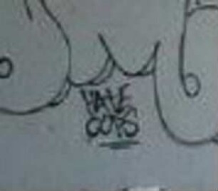 HAtE COPS