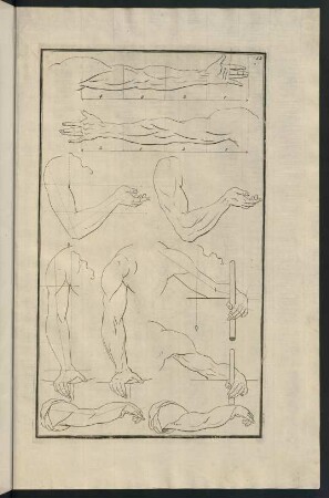 Fig. 12. - Fig. 18.
