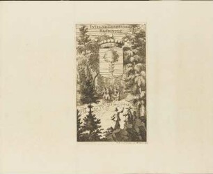 Kupferstich: Insigne Comitatus Blekingiae