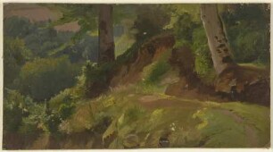 Waldinneres