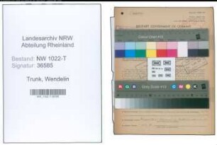 Entnazifizierung Wendelin Trunk , geb. 15.03.1889 (Prokurist)