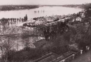 Loschwitz, Winterhafen