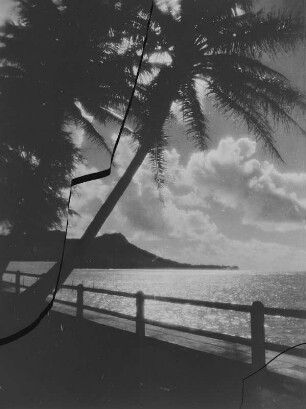 Meerblick : Blick auf das Meer mit Palmen im Vordergrund