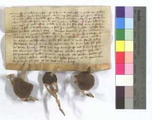 [Text = U / 1329 April 6]. Mit Eid besagt vor Salmannus, Kämmerer, Emercho, Schultheiß, Scherplinus, Richter. "1330 feria secunda ante diem beatorum Viti et Modesti."