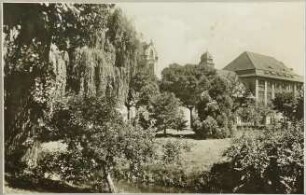 Postkarte, Landsberg an der Warthe (Neumark) (Gorzów Wielkopolski)