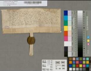 Freibrief des Abts Maurus von Liesborn.