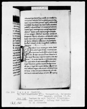 Evangeliar: Seite mit Initiale P