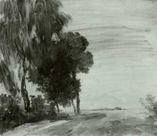 Landschaft