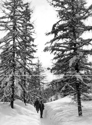 Österreich. Urlauber bei einer Winterwanderung nahe Seefeld. Der verschneite Wald gibt eine prachtvolle Kulisse. Aufgenommen 1970