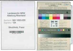 Entnazifizierung Franz Struchholz , geb. 31.05.1898 (Dachdecker)