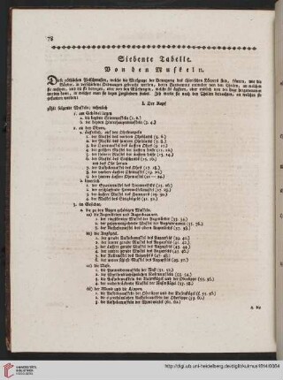 Siebente Tabelle: Von den Muskeln