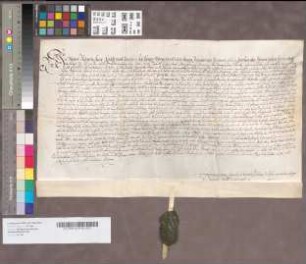 [Urkunde, die sich auf das Testamentum viduae Margarethae Meschede geborne Rahm bezieht.]