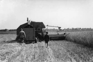 Mähdrescher mit angehängtem Kornsammelwagen
