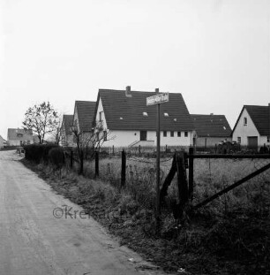 Heinrich-Möller-Straße: Neubausiedlung: vorn Weide mit Zaun: dahinter Einfamilienhäuser
