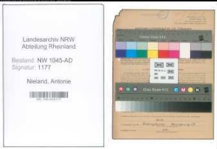 Entnazifizierung Antonie Nieland , geb. 26.06.1899 (Buchhalterin)