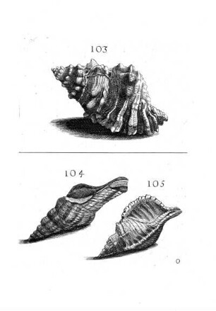103. - 105.