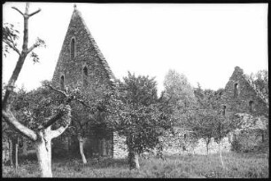 Altzella. Klosterruinen, Giebel