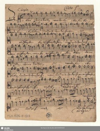 Canto 1[m]o