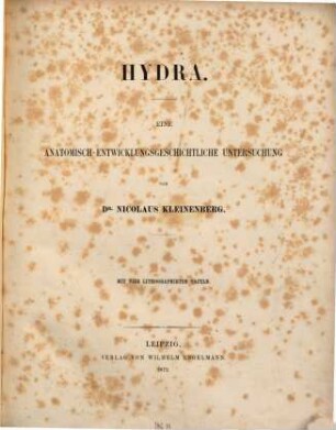 Hydra : eine anatomisch-entwicklungsgeschichtliche Untersuchung