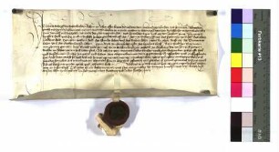 Lehenrevers des Hans Schenk von Schenkenstein gegen Propst Albrecht I. von Ellwangen über die einzeln genannten Güter zu Aufhausen unterm Schenkenstein, zu Unter- und Oberriffingen, zu Härtsfeldhausen, zu Dehlingen, die Ödung Buch und den Zehnten der Messe zu Schenkenstein in Killingen, die er von seinem Bruder Wilhelm erkauft hat