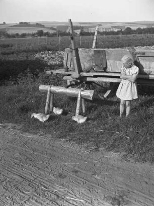 Cotta, Mädchen mit Küken : Cotta. Getreideernte. Arbeitspause