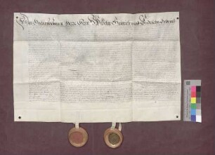 Schuldverschreibung der waldburgischen Orte Hohentengen, Bätzkofen, Öltzhofen, Eiken, Günzkofen etc. gegenüber Trudpert von Roggenbach, Dekan des Domstifts Basel.
